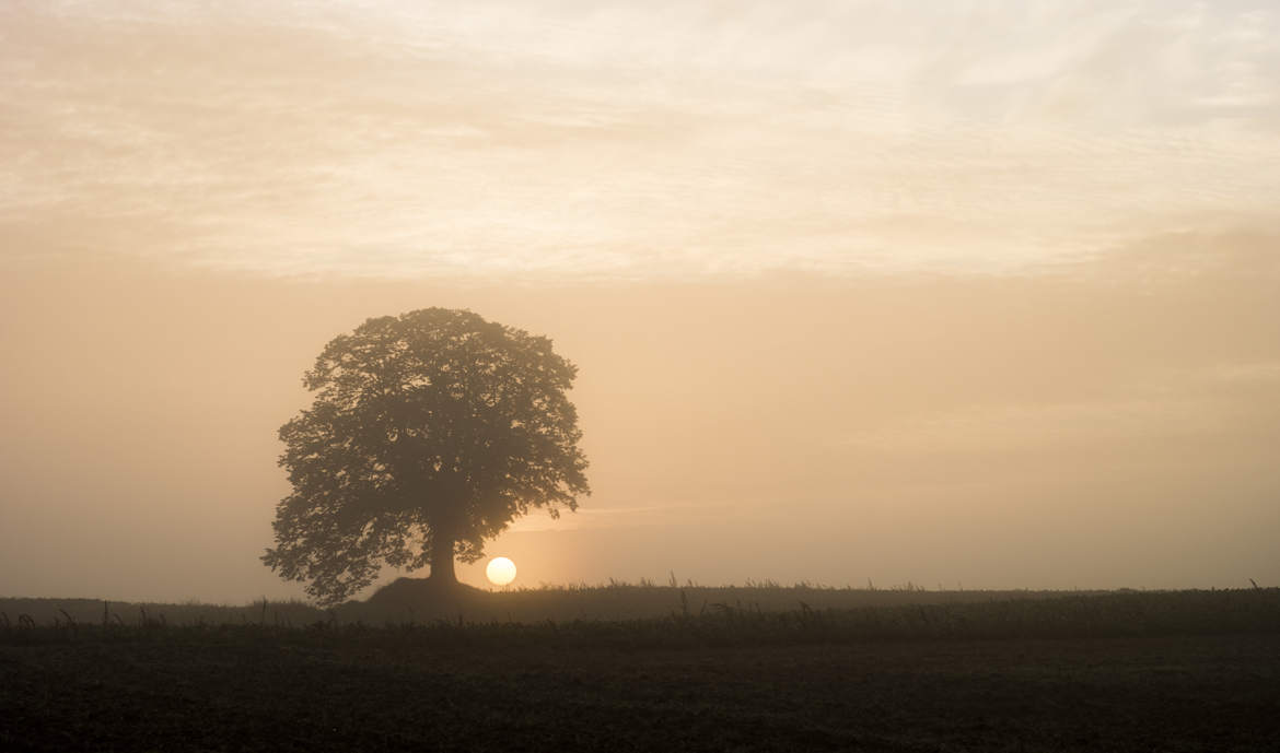 lever de soleil dans le brouillard