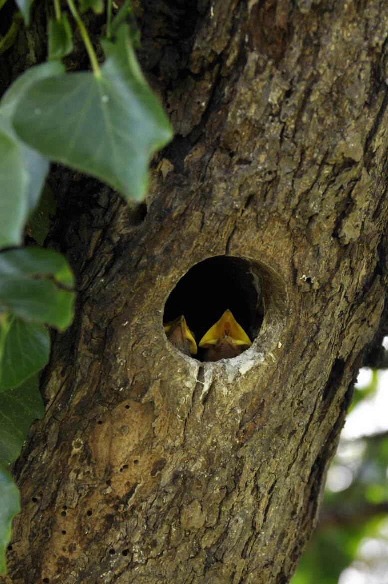 Comme un air de printemps