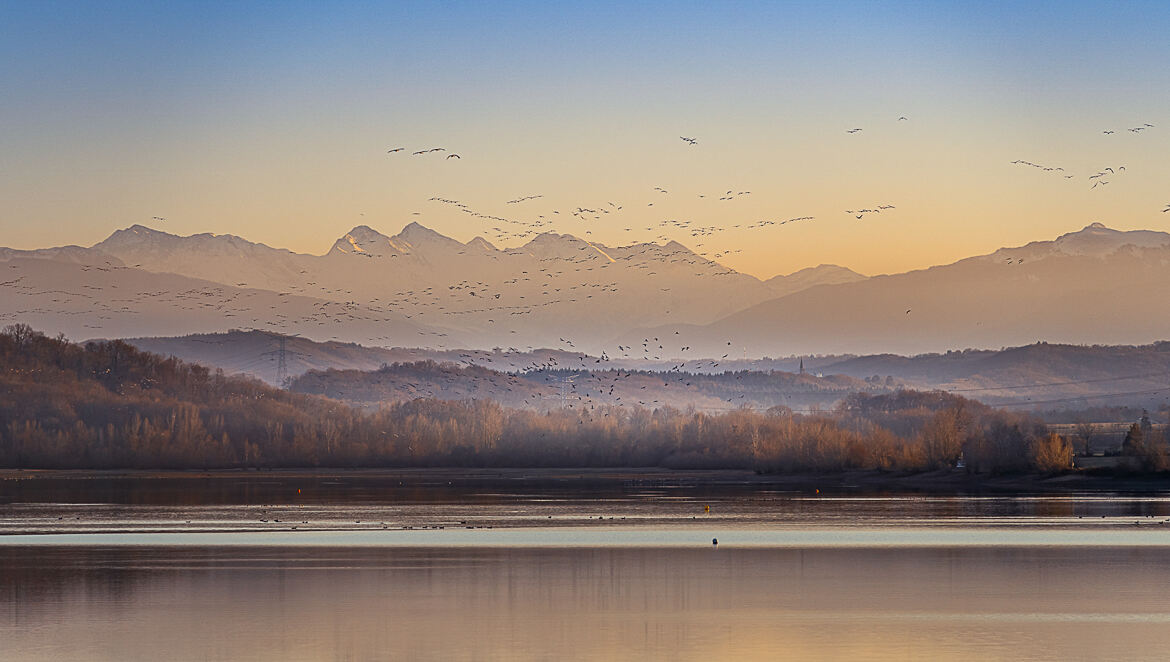 Le coucher des grues