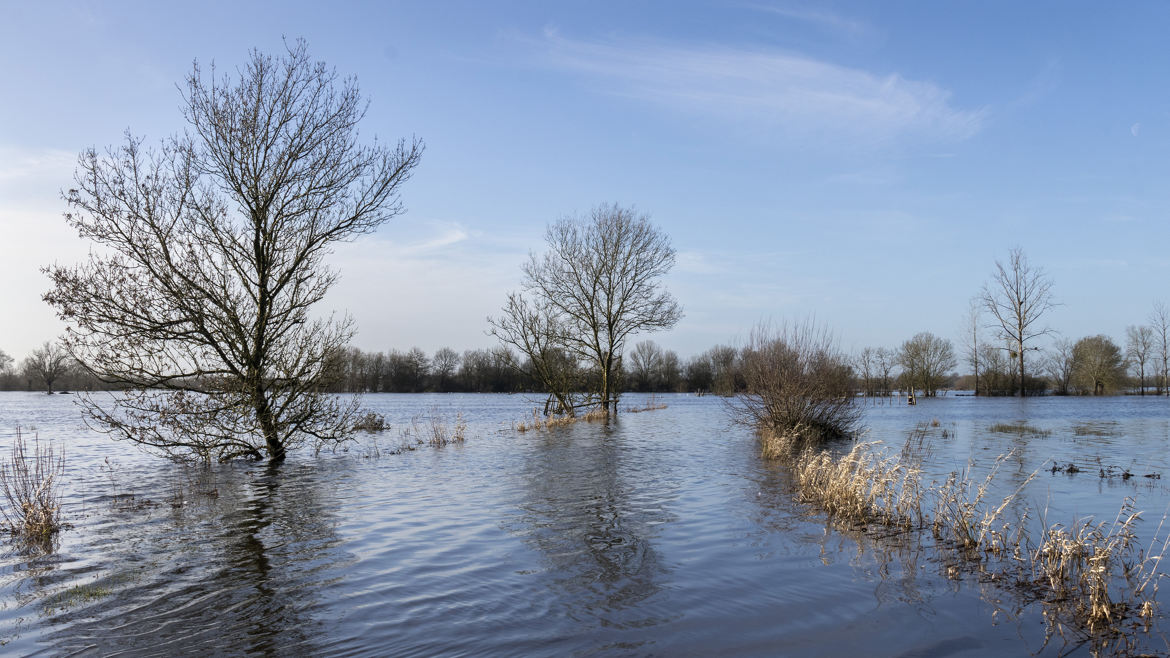 marais de couëron