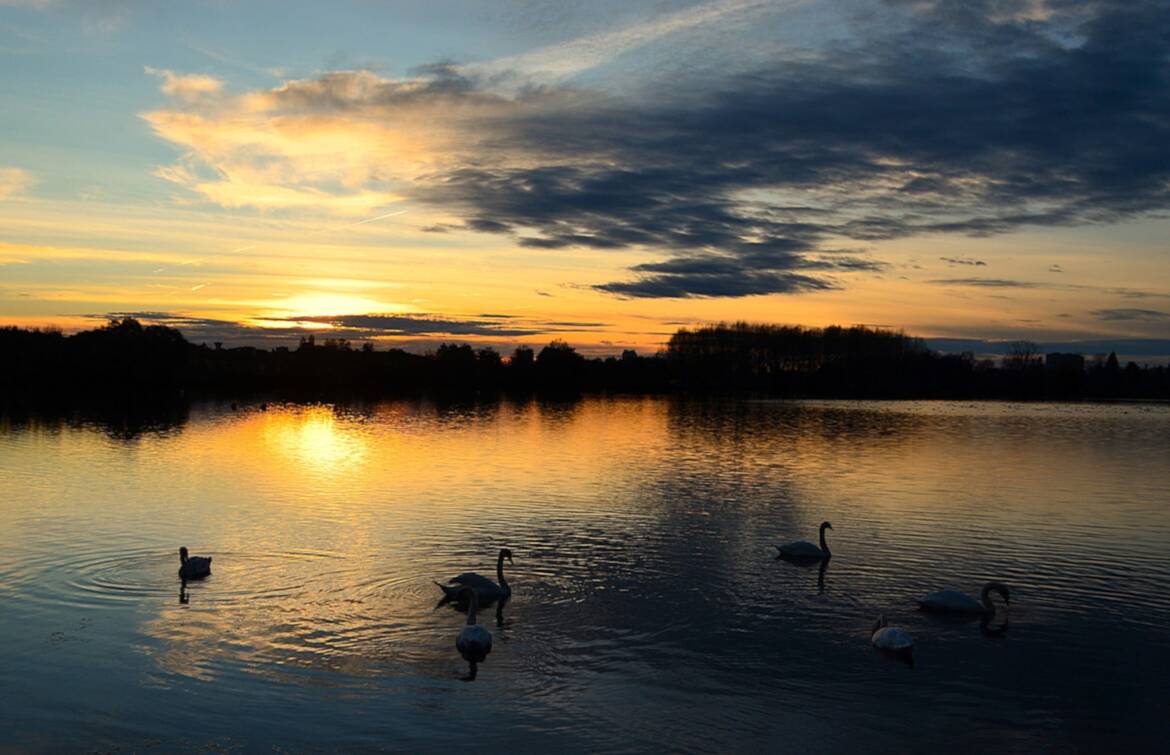 Spectacle de soirée.