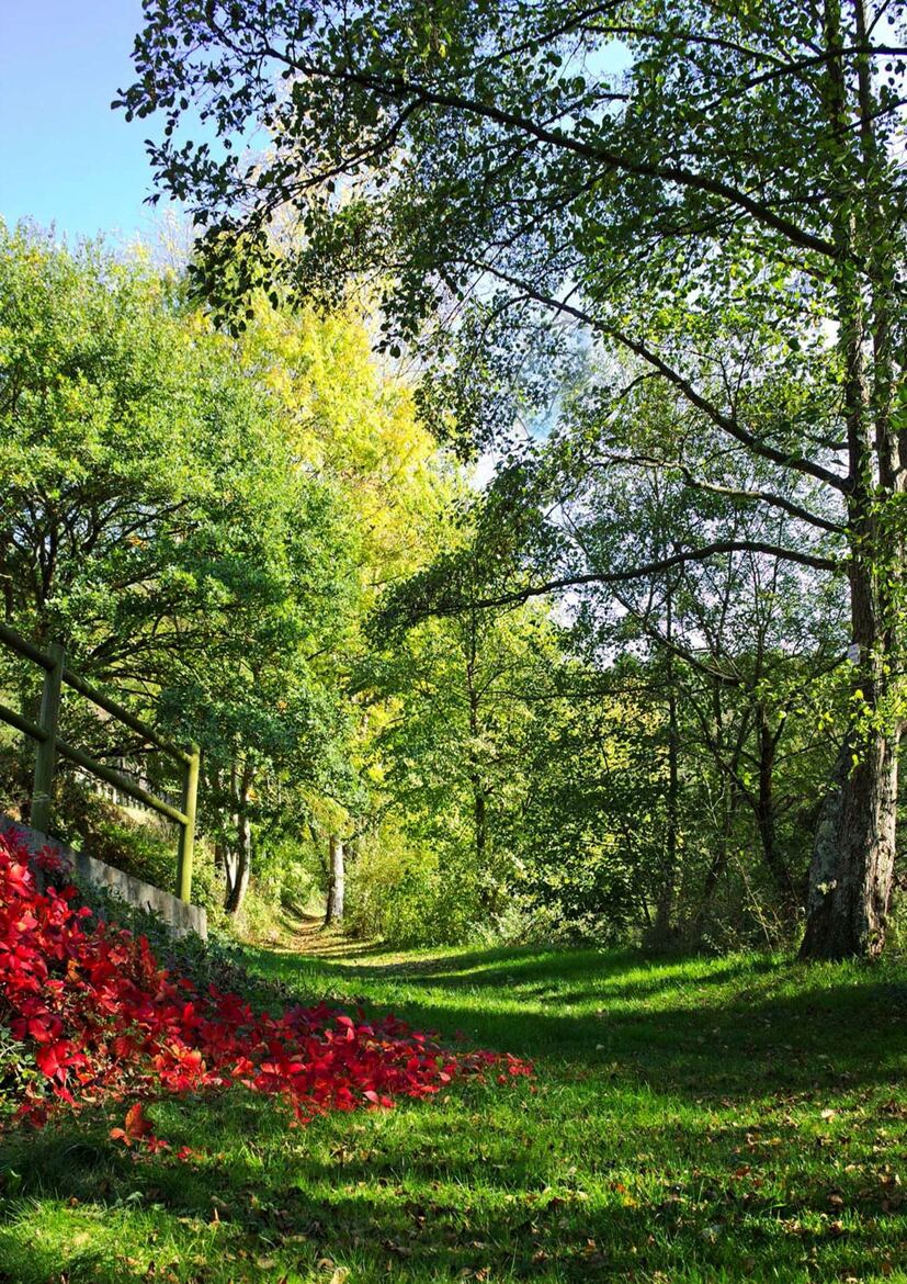 Couleurs d'Automne