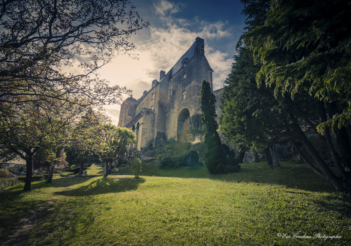 reste du chateau de Pons