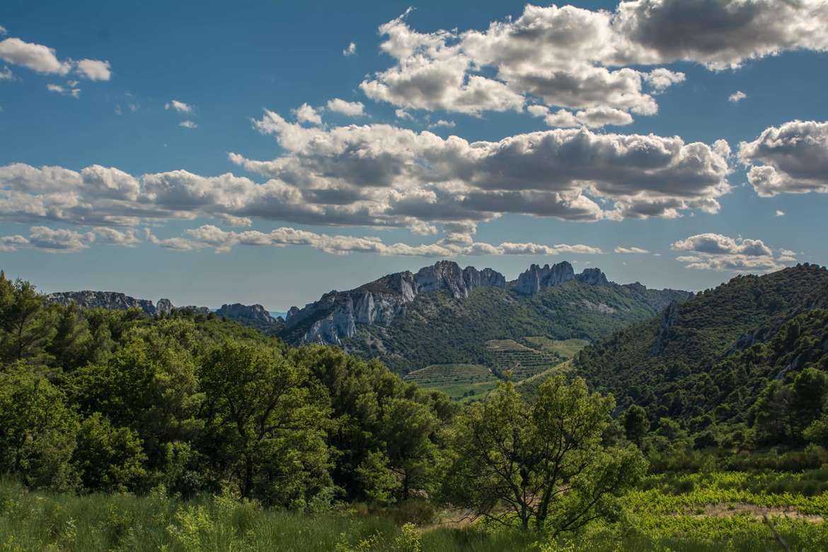 les dentelles de Montmirial III