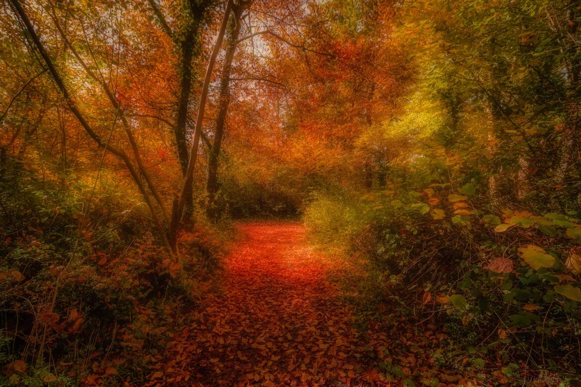 Peinture automnale !