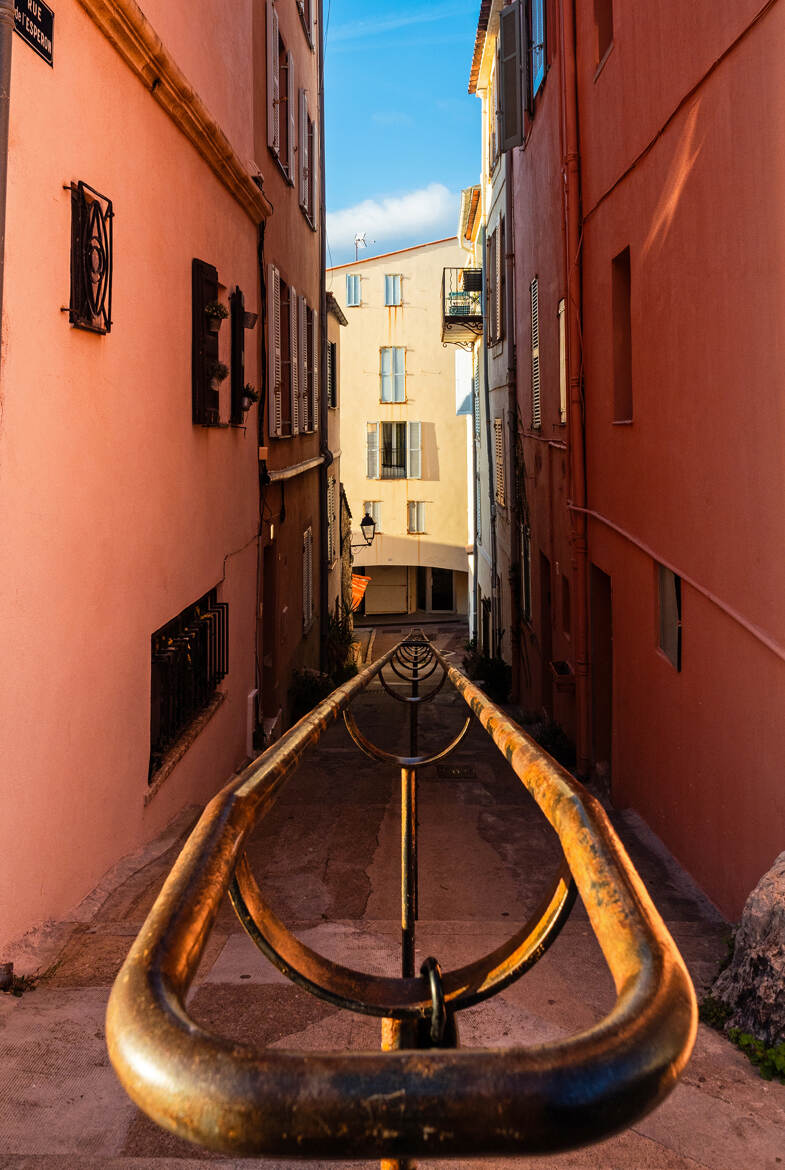 Perspective Antiboise