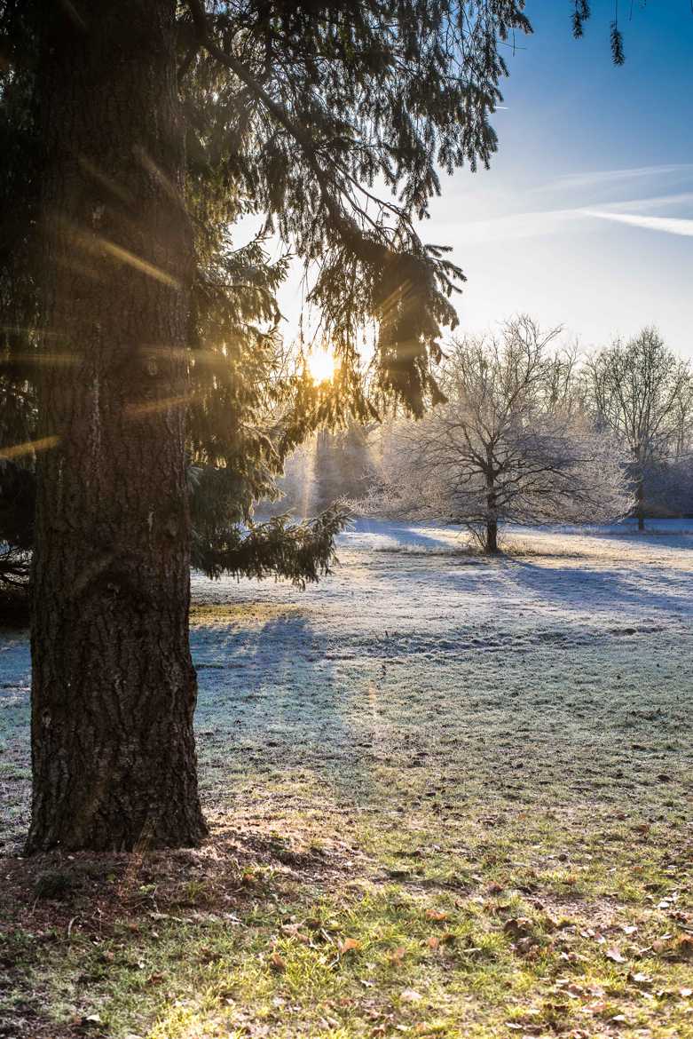 Matin hivernal ensoleillé