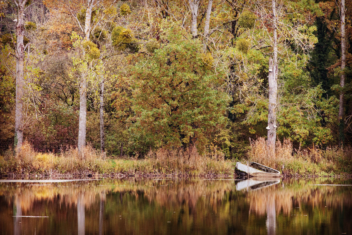 Un étang en automne