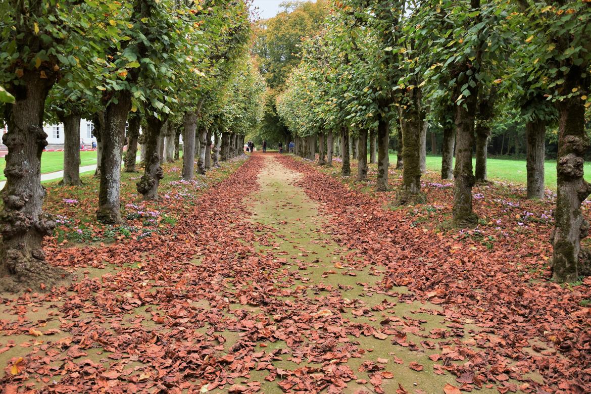 Promenade dans les allées du château