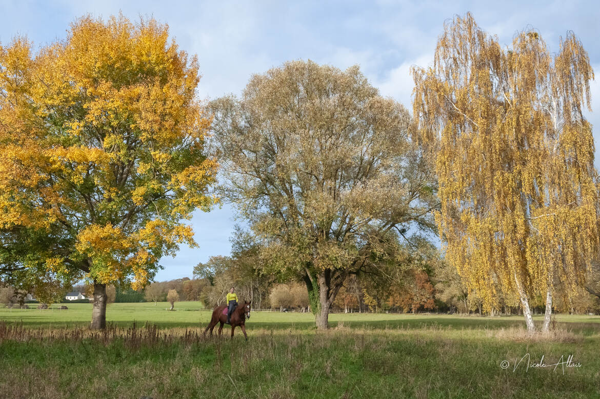 Balade à la campagne ...