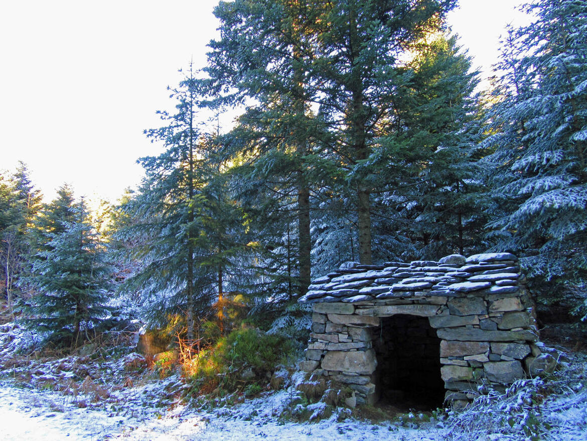 La cabane du renard