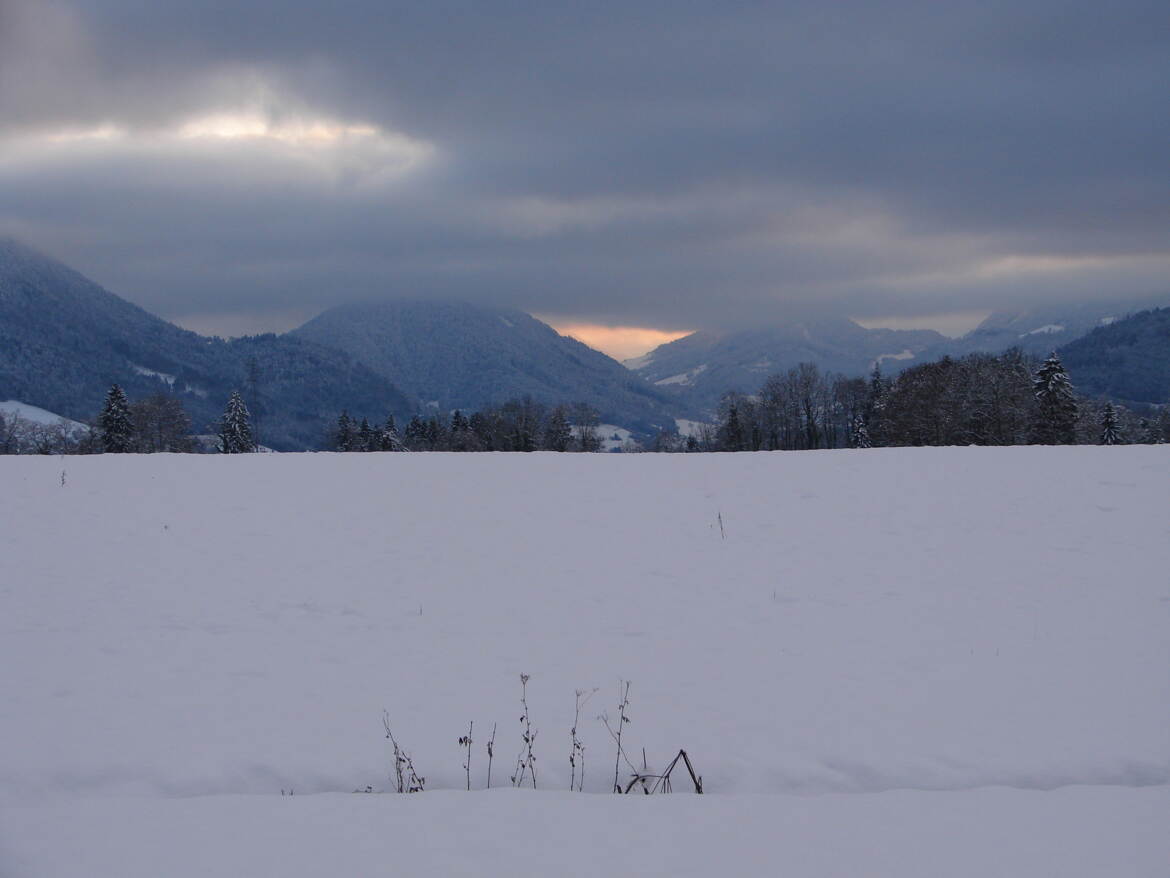 Neige sous ciel gris
