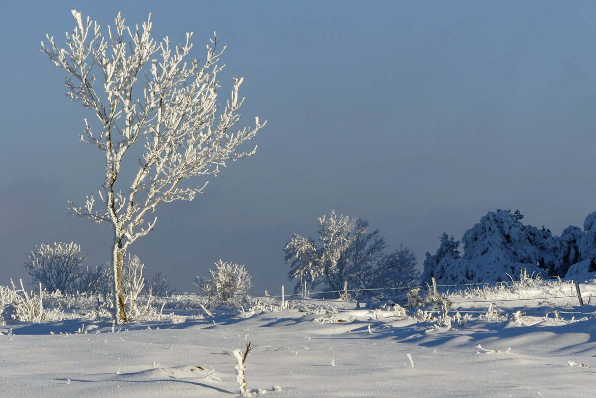 Les frimas de l'hiver