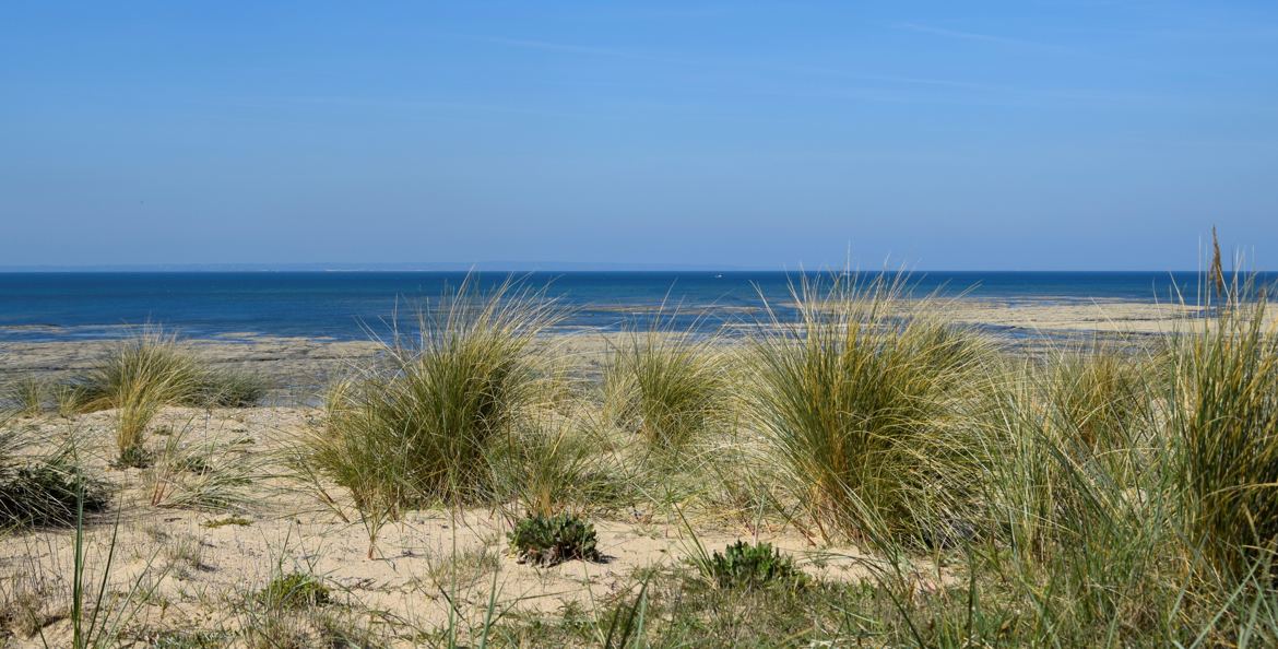 marée basse recadrée