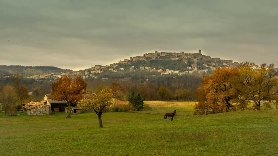 au petit matin