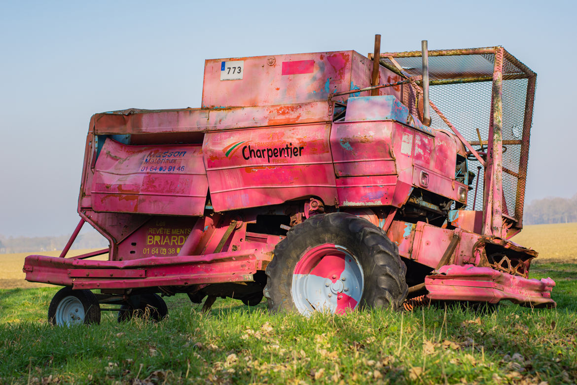 La vie en rose. Ou pas...