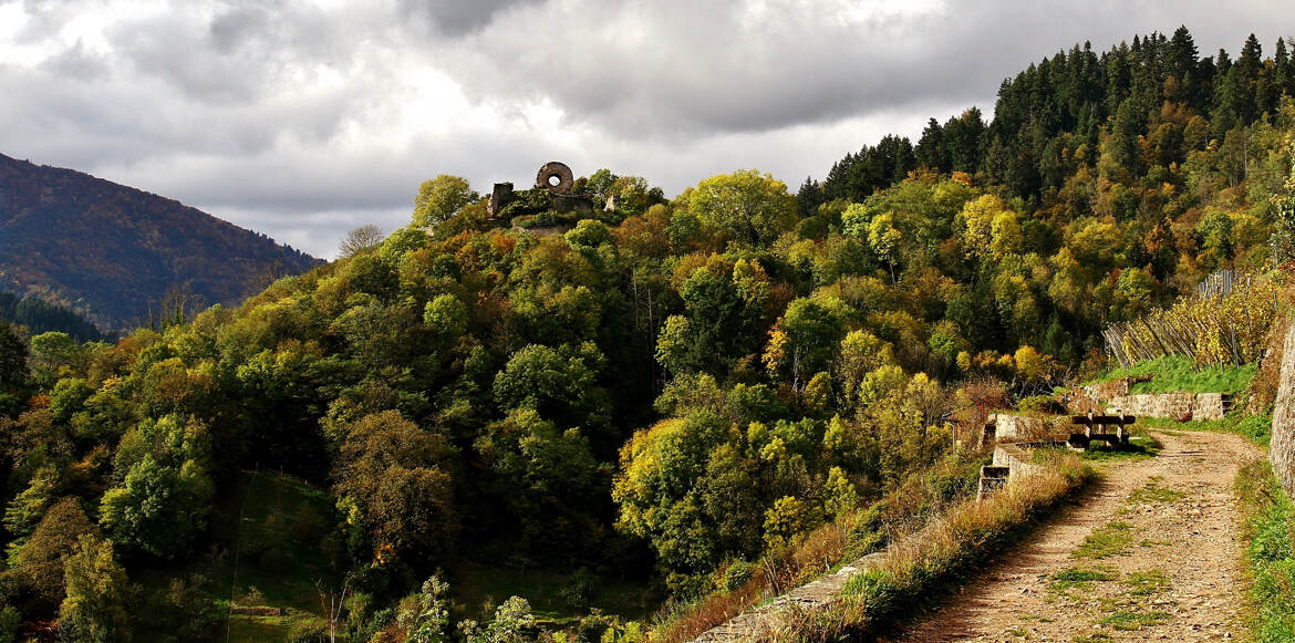 En chemin vers l'Engelbourg