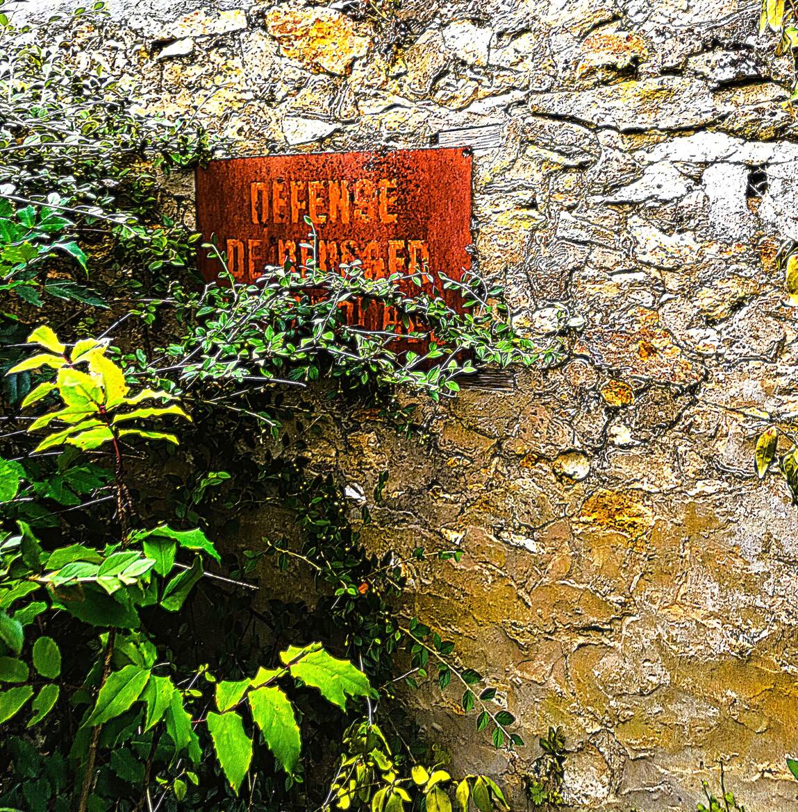 Le fouillis