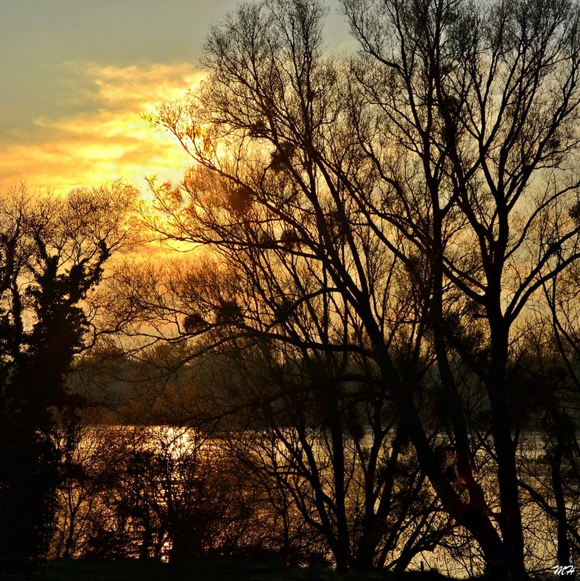 Un soir de mars