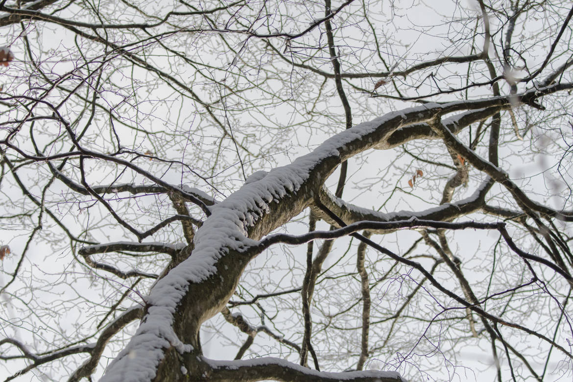 Montée de neige