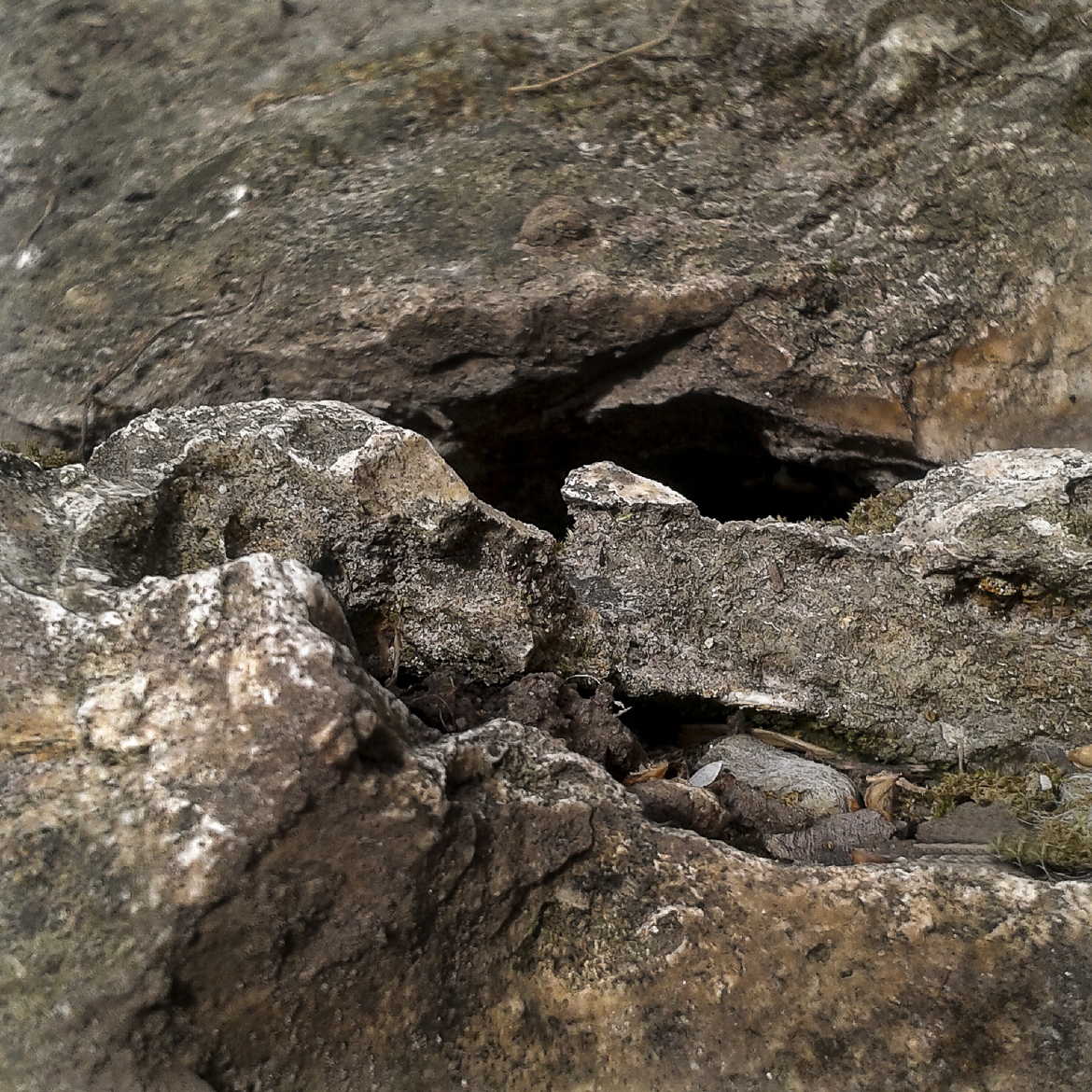 Comme un amour éternel