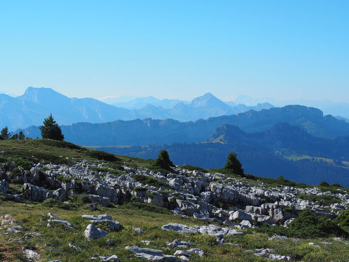 Horizon brumeuse