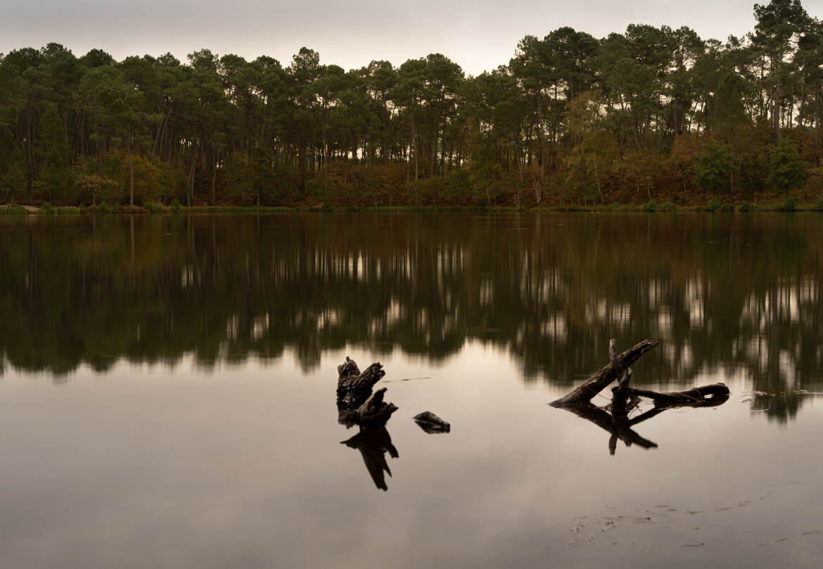 Reflets d'automne