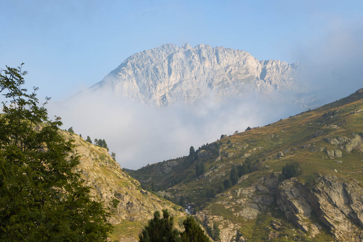 La dent Parrachée