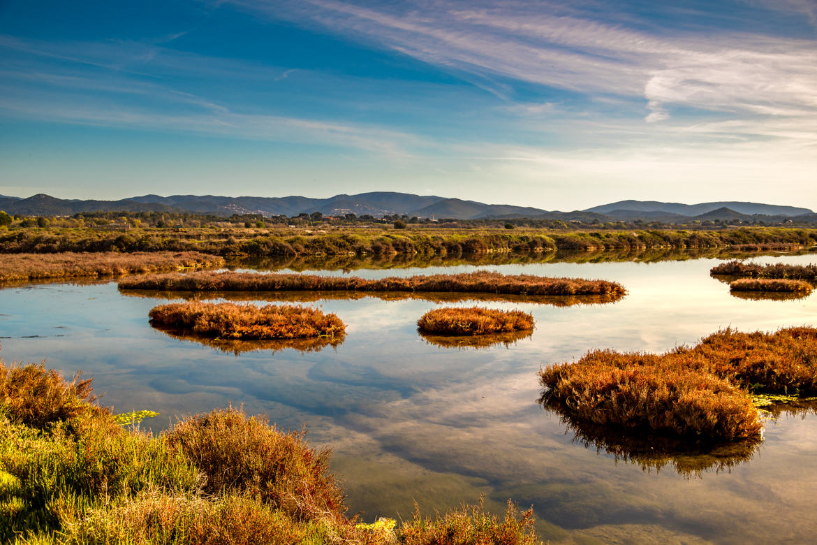 Les Salins de Hyères