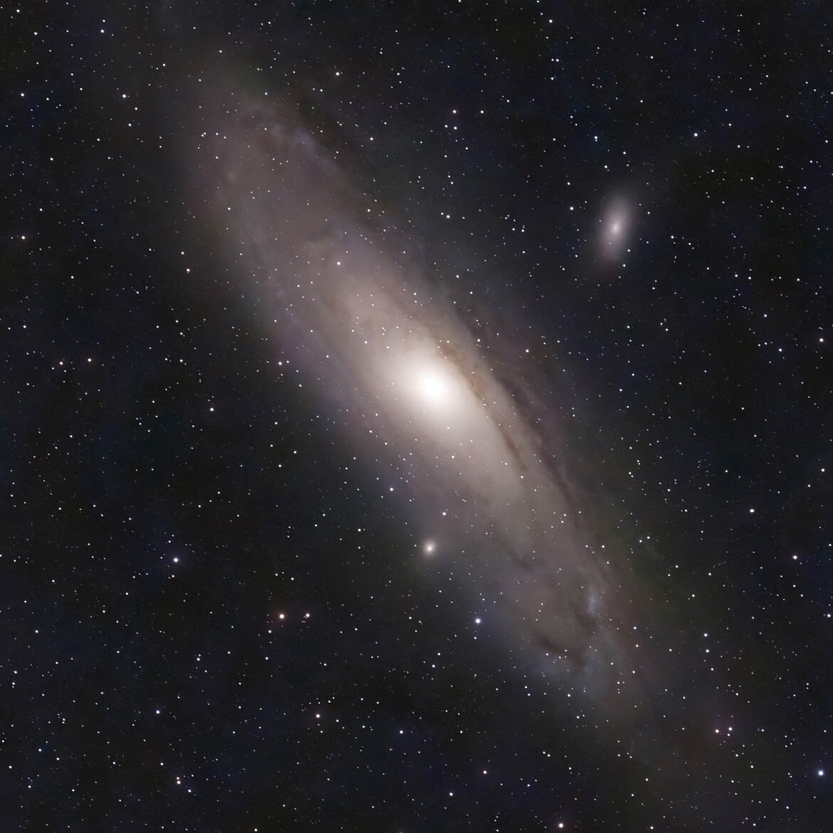 M31