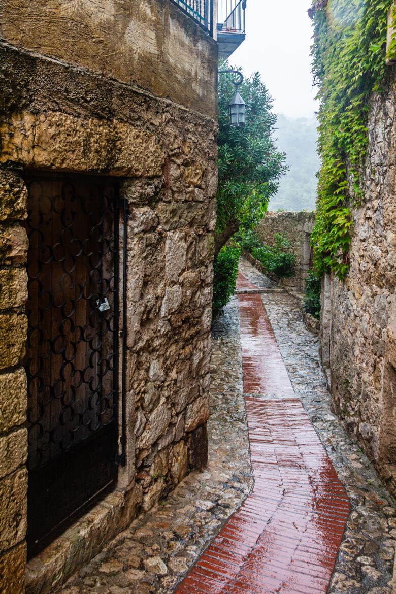 Après la pluie ..........