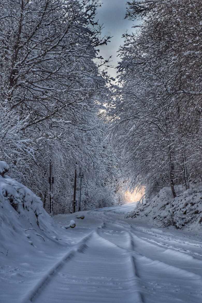 Lever du jour en blanc