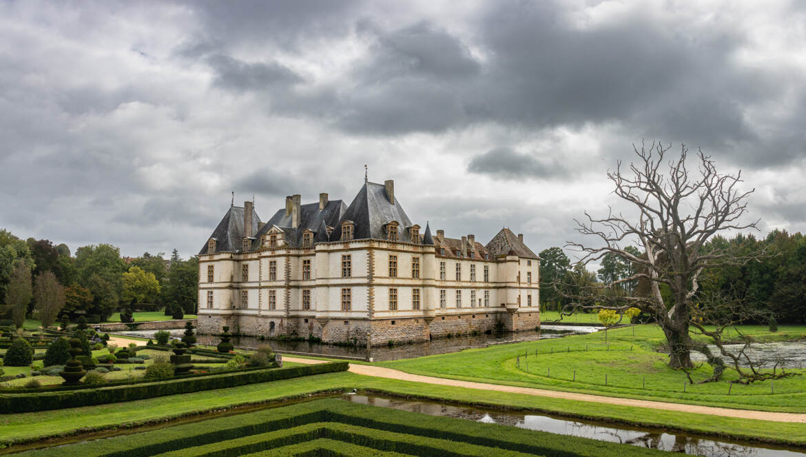 La chateau son arbre mort et la pointe du labyrinthe