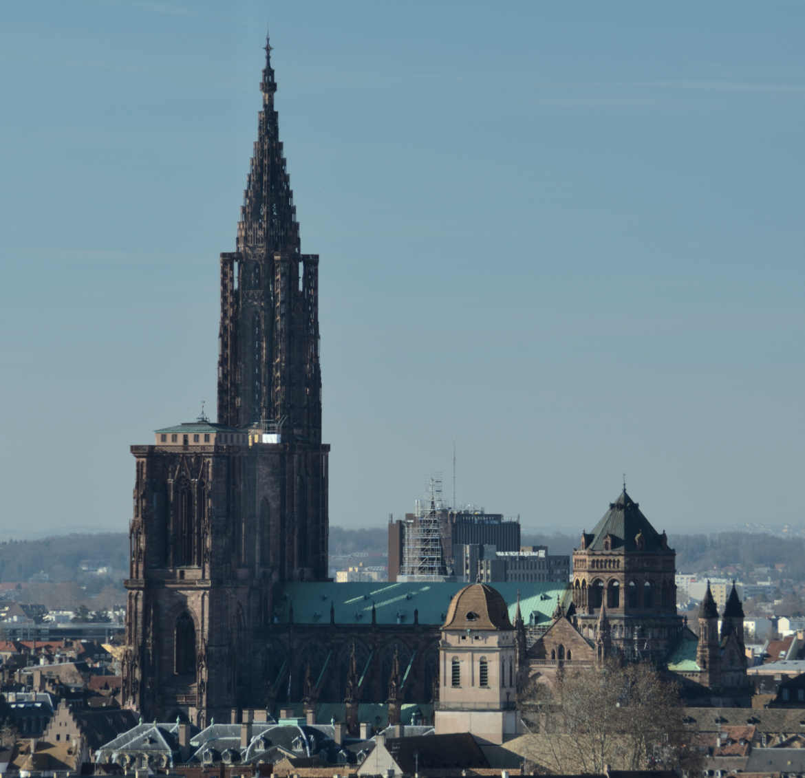 notre dame de strasbourg