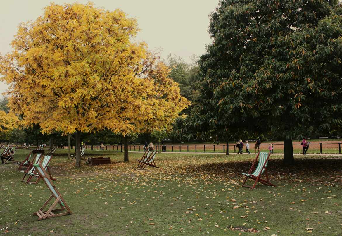 Début d'automne anglais