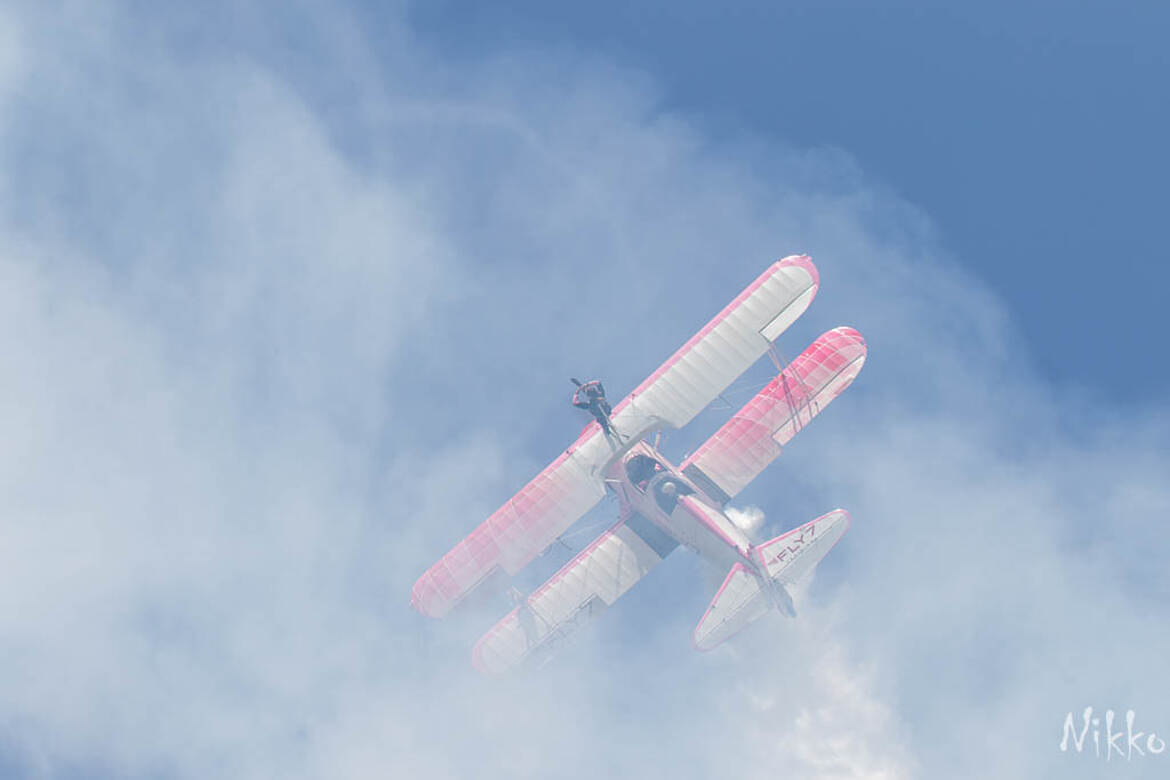 Wing walker