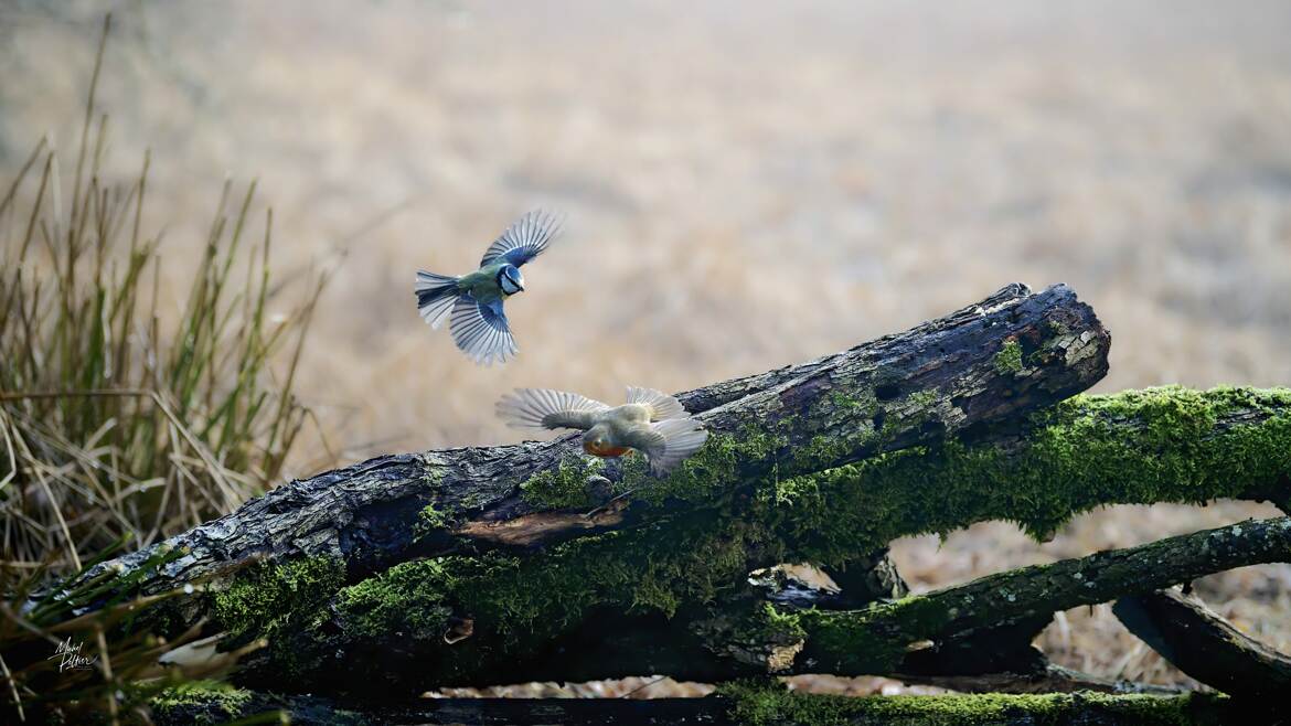 Un clou chasse l'autre