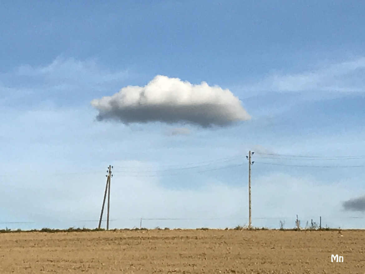 Entre les deux mon coeur balance