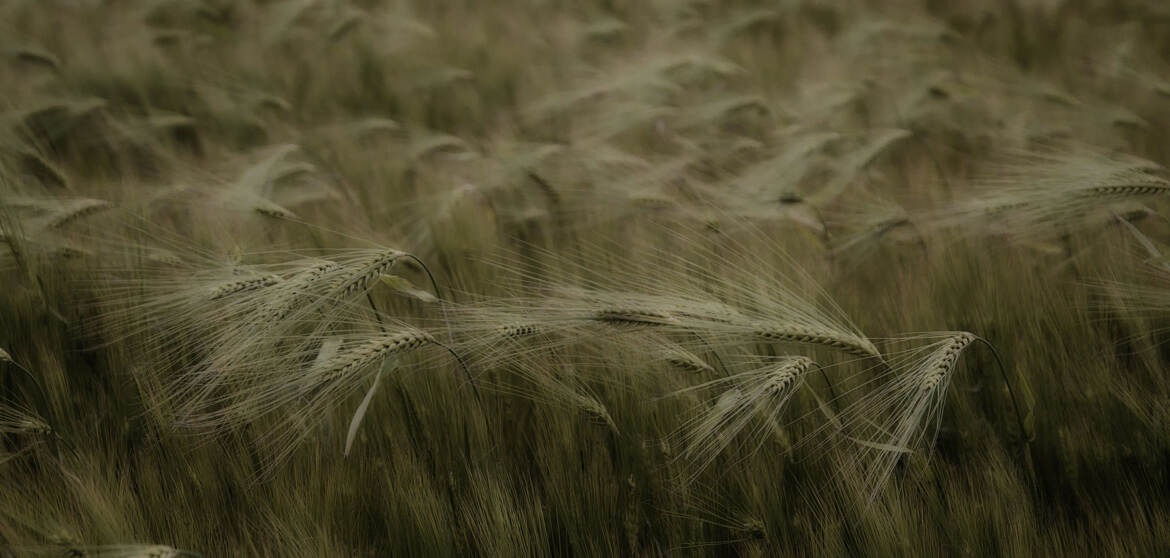 Dans la tourmente !!