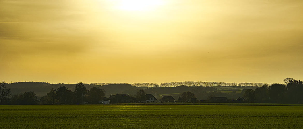 Fin d'après-midi