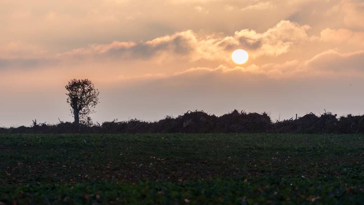 Coucher de soleil à la campagne