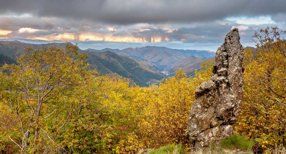 Vallée en cévennes à l'automne