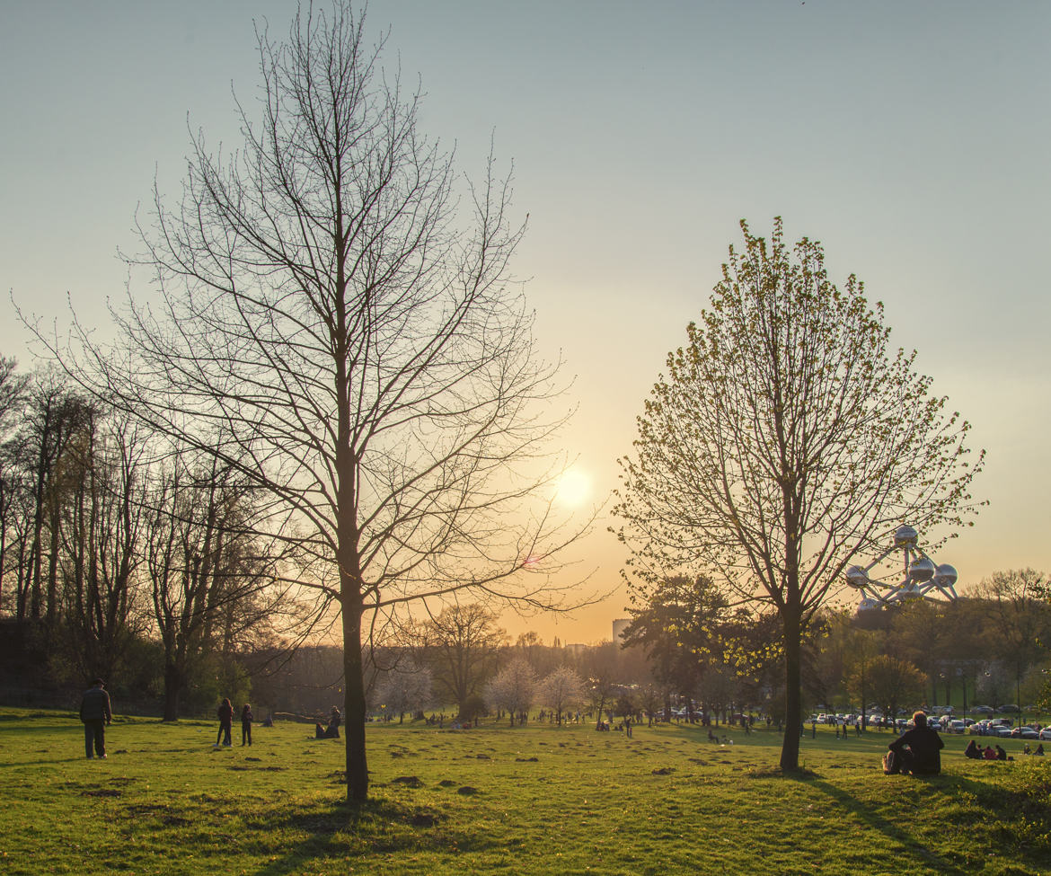 Début de couché de soleil