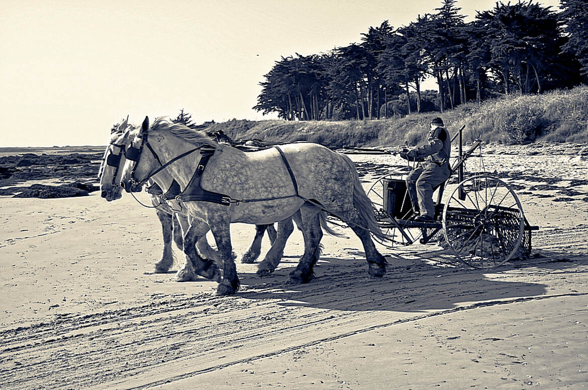 Nettoyage plage à l'ancienne