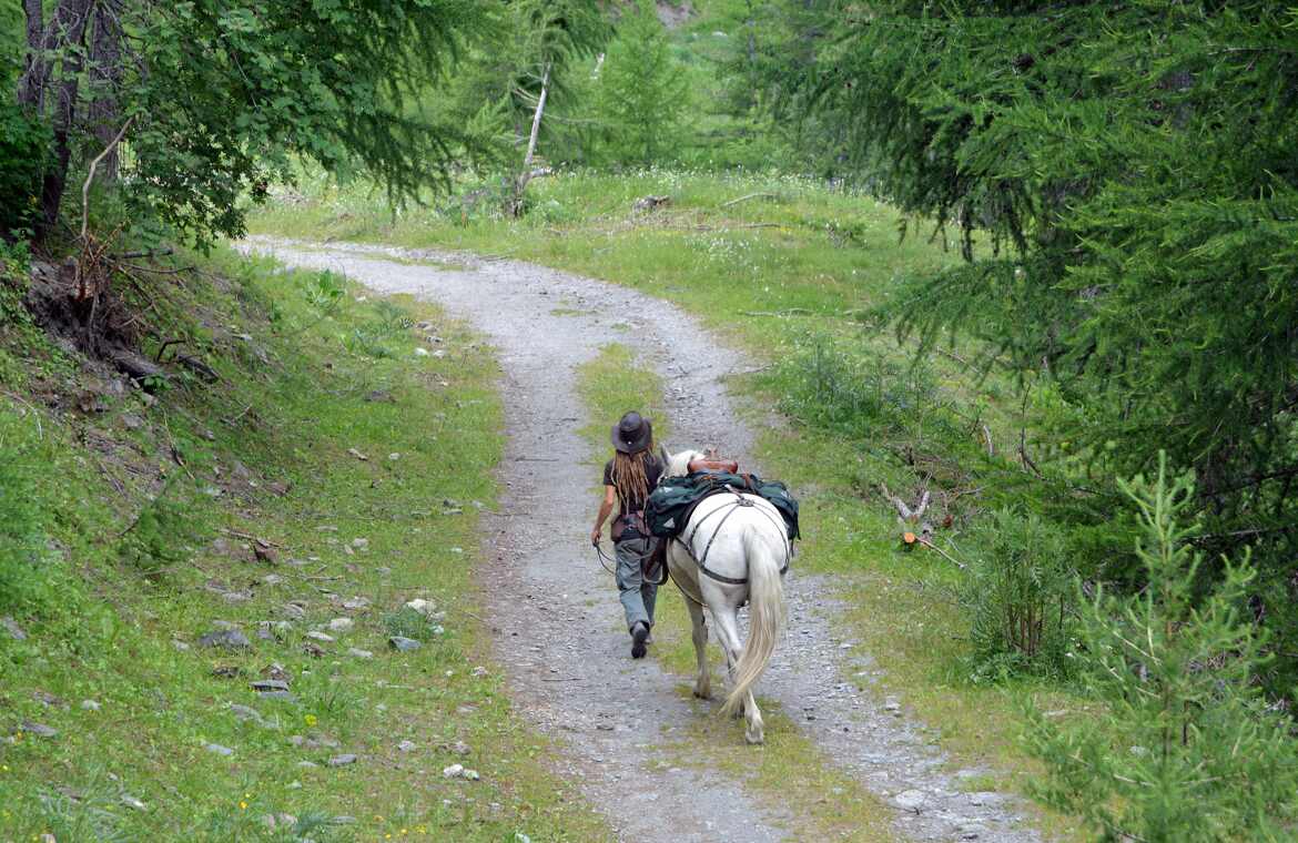 Départ pour une randonnée à cheval