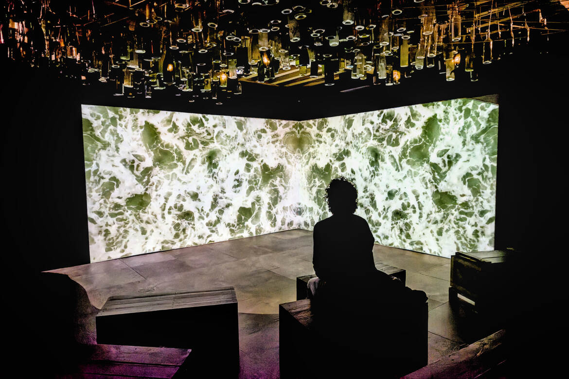 Spectacle immersif (2)