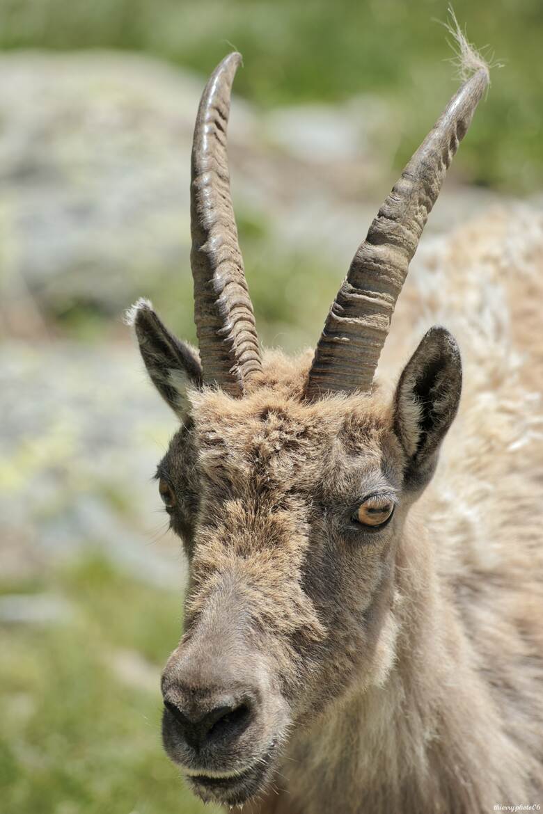 T'as un peu de sel s'il te plaît ?