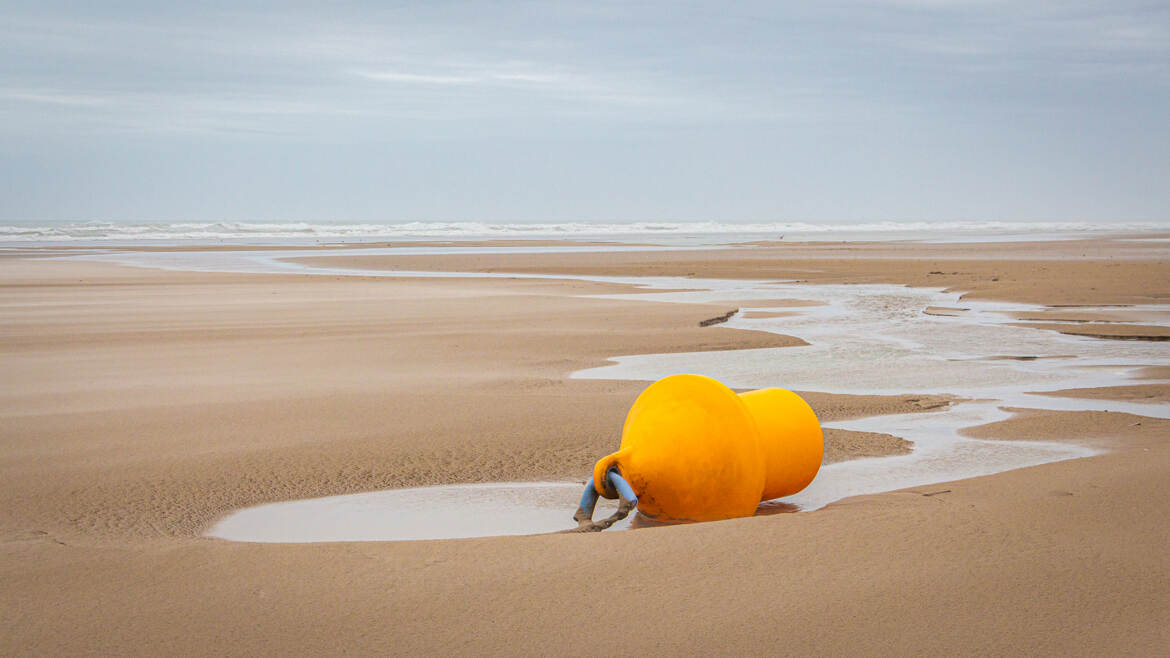 Elle est jaune, il est vrai