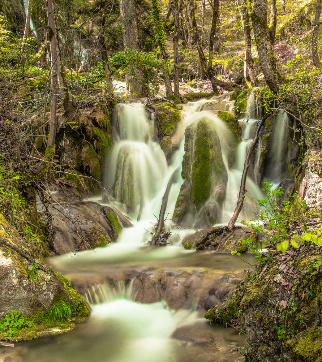 Cascade en foret