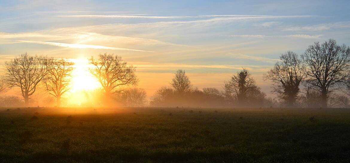 Sunrise sur le champ.